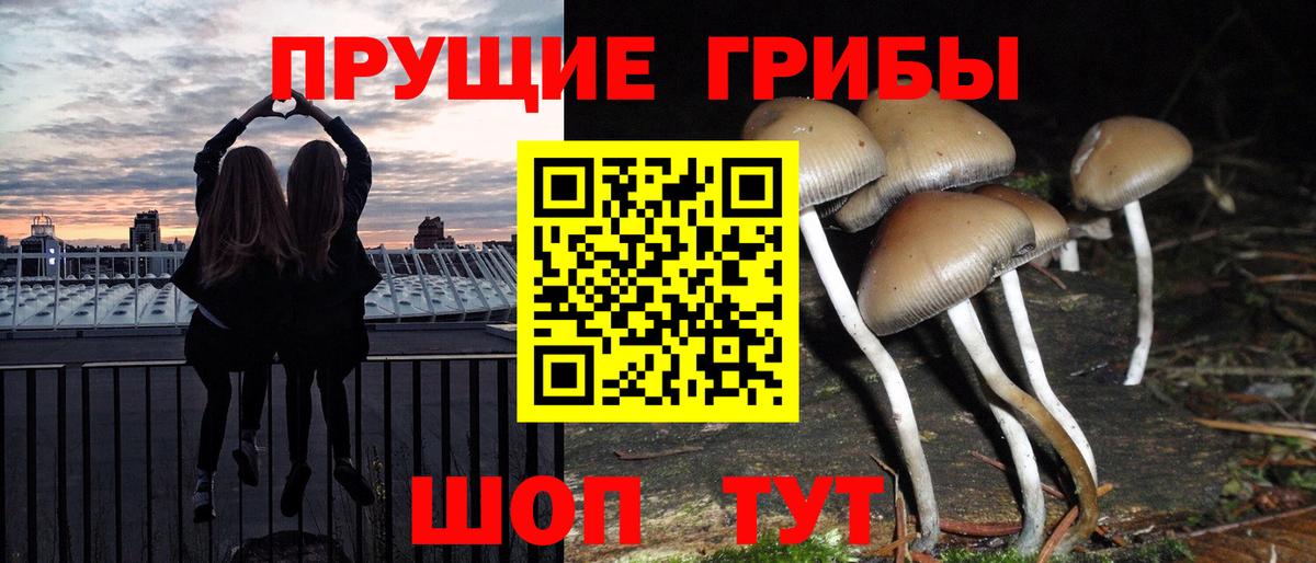 Псилоцибиновые грибы MAGIC MUSHROOMS  Вход с VPN  Апрелевка  Псилоцибиновые грибы MAGIC MUSHROOMS 
