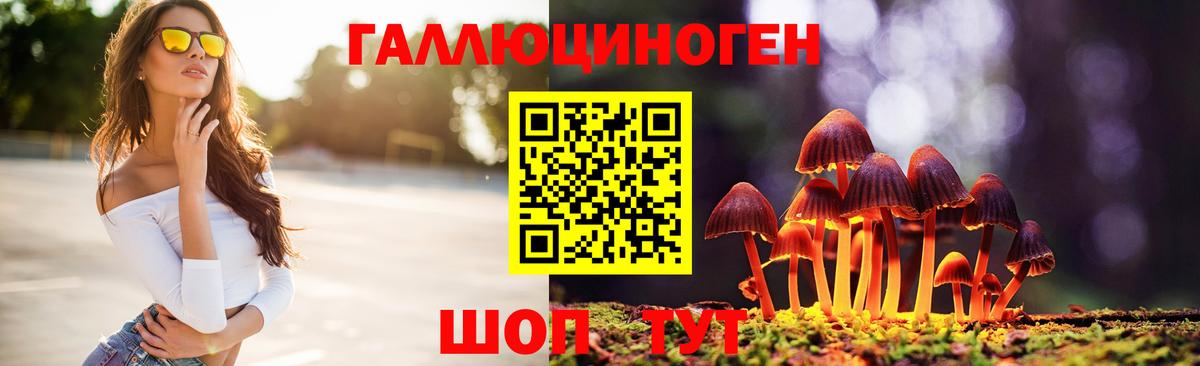 Галлюциногенные грибы Psilocybe Апрелевка